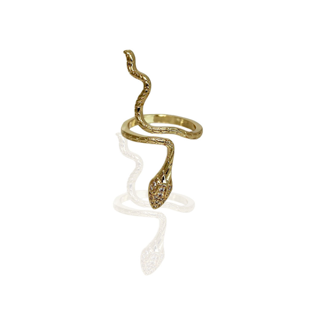 Anillo Snake