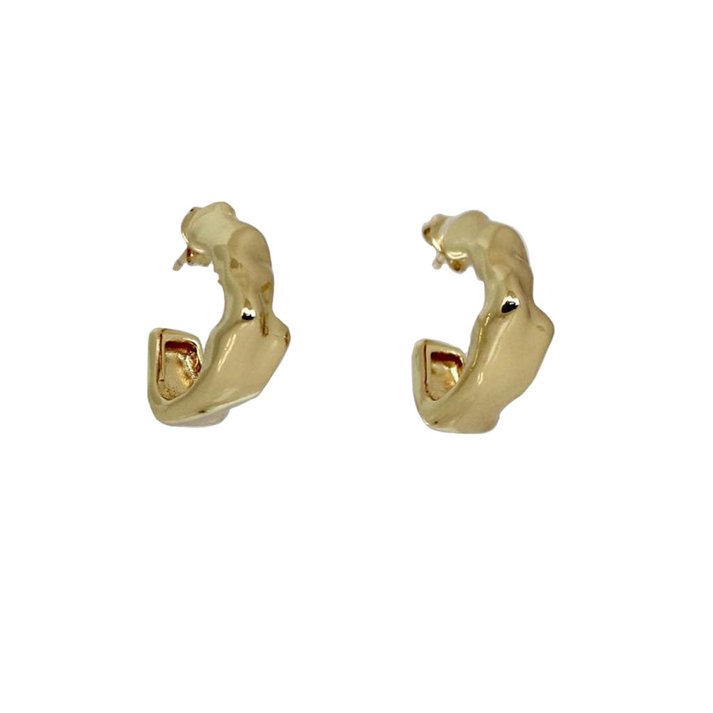 Aretes Organix