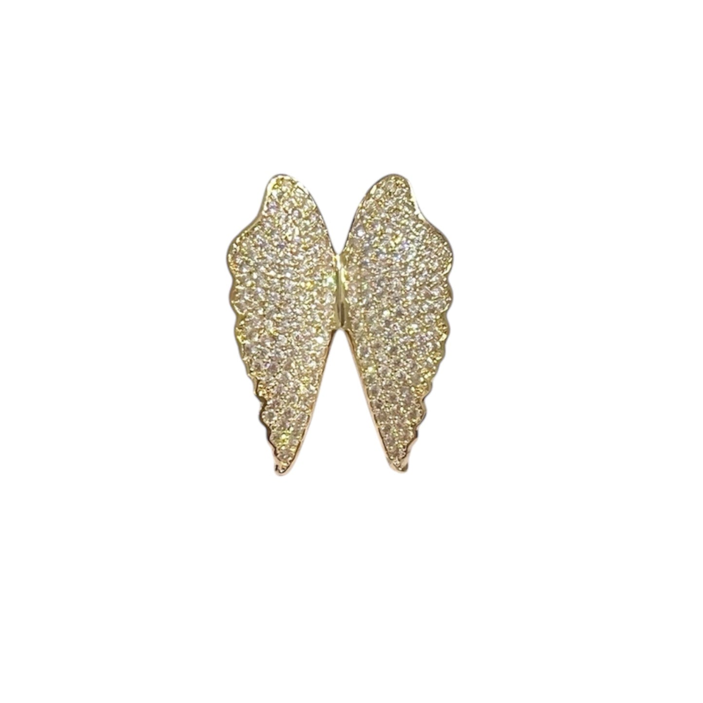 Anillo Ala