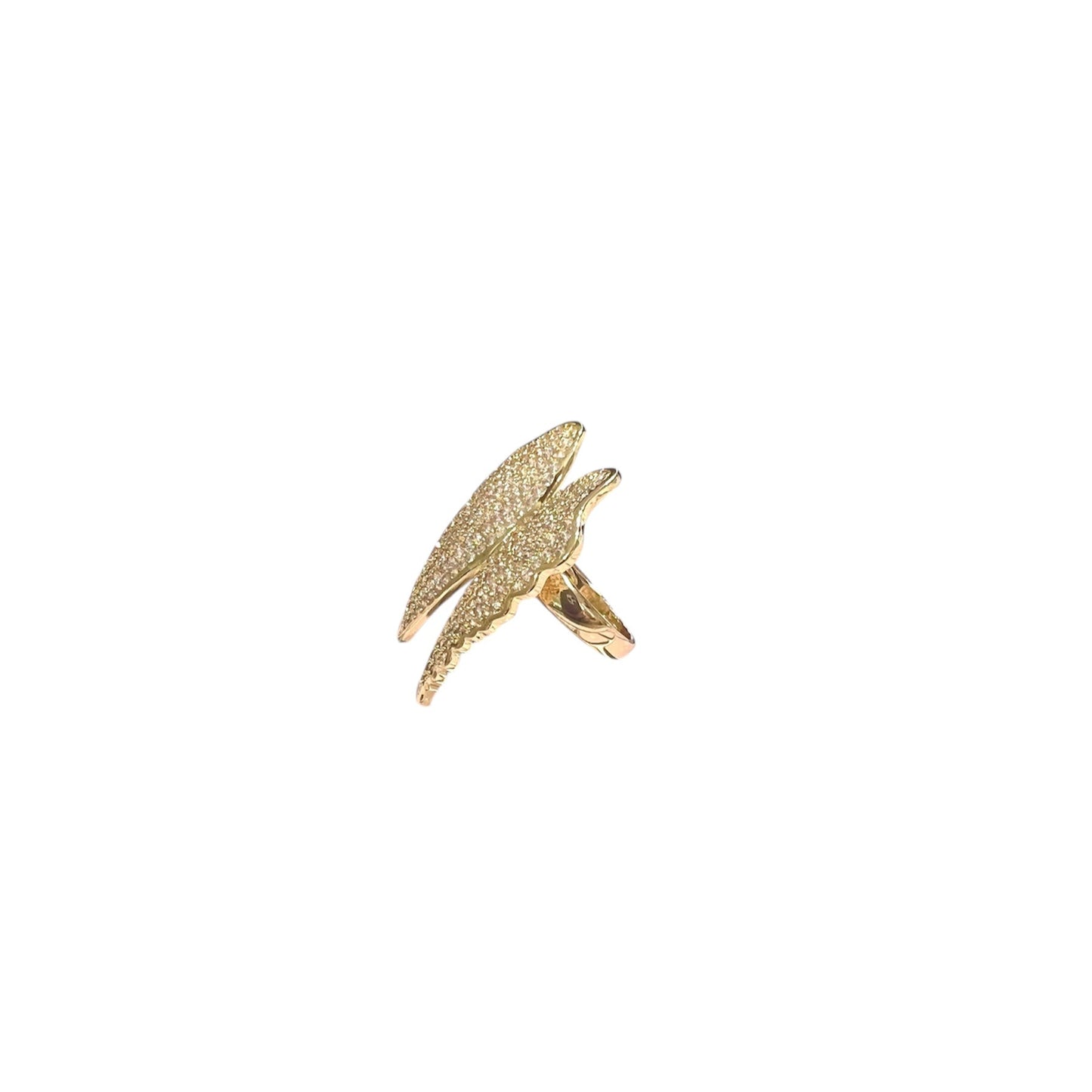 Anillo Ala